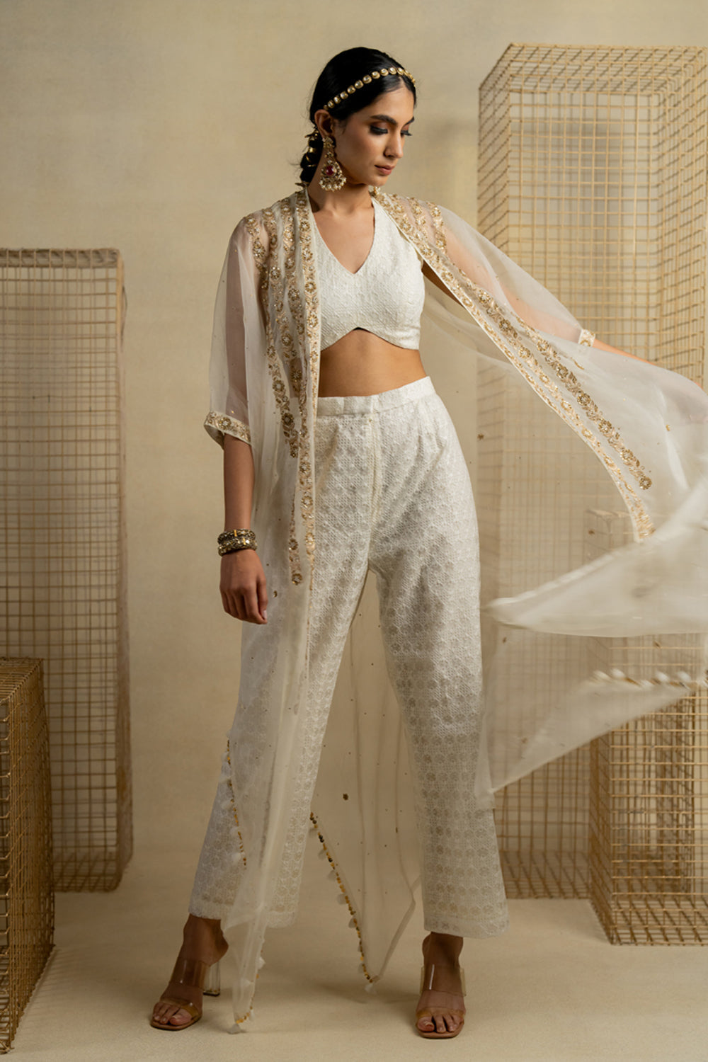 Abil Organza Cape With Crop And Pants - Auraya Fashion -  - #tag1# - #tag2# - #tag3# - #tag3#