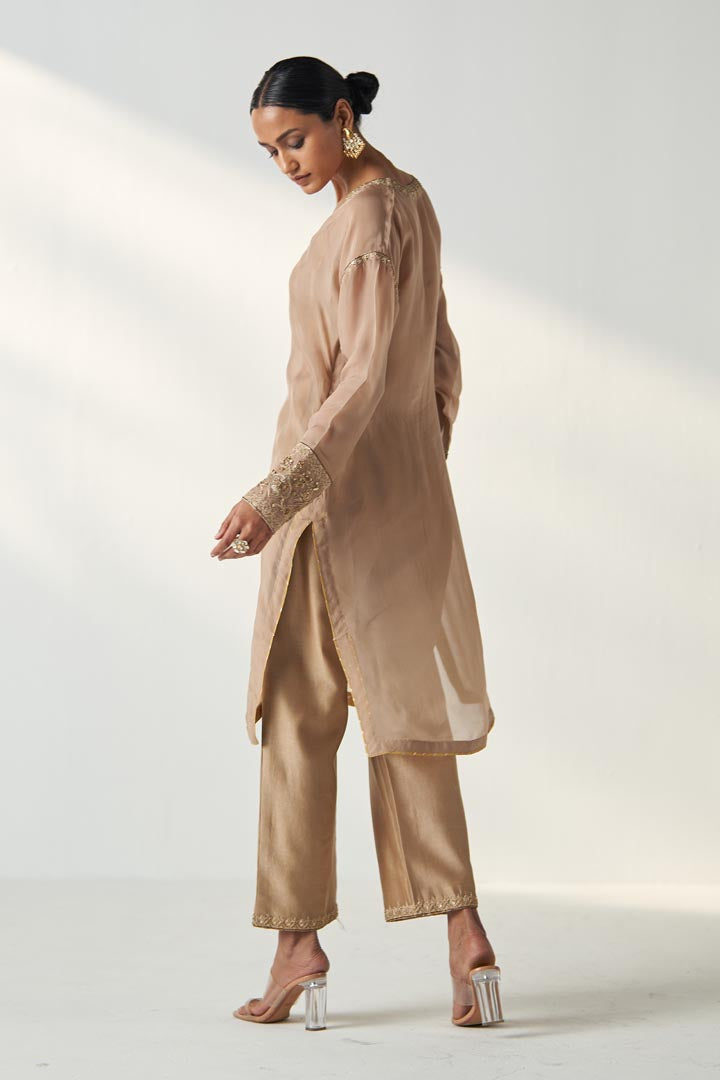 PAKHI FAWN SHEER KURTA PANT SET