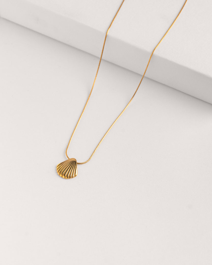 Shell necklace