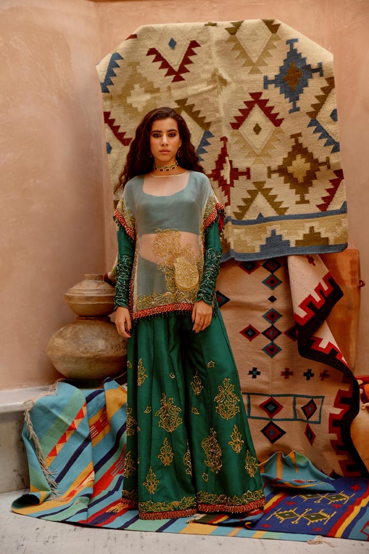 Image of Fawn sheer sac cape with churidar full sleeve blouse and sharara