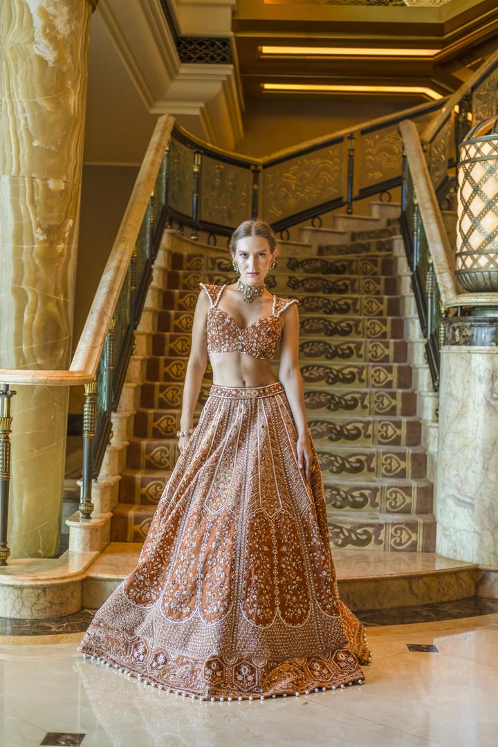 Rustic Elegence lehenga set