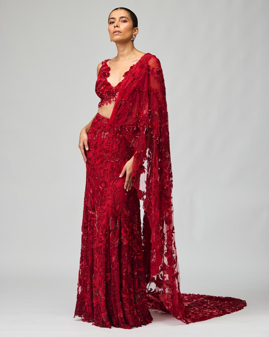 Red Embroidered Mono Net Saree Set for Wedding & Evening Wear
