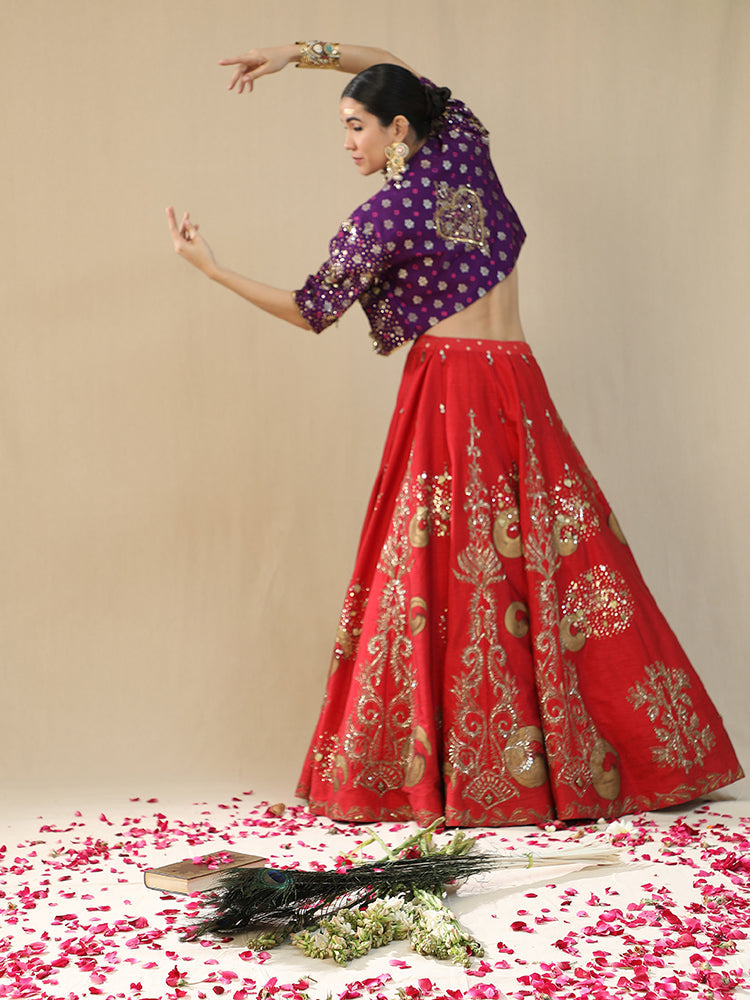 Red Brushstroke lehnga set
