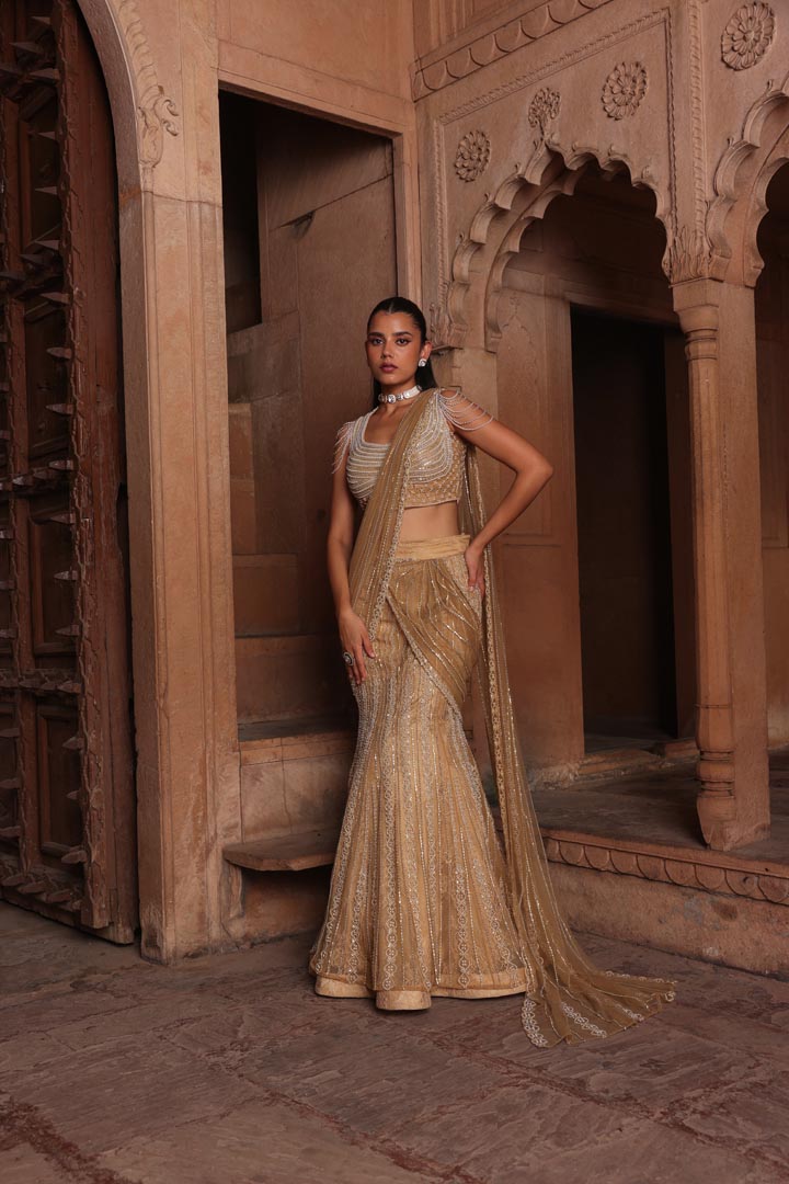 Golden fish draped saree