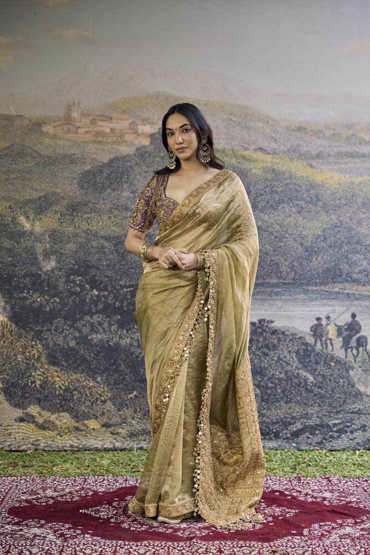 Zarvika Fusion Tissue Saree Set