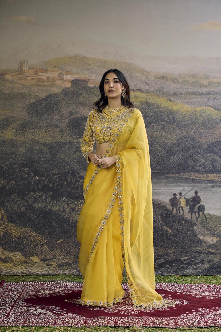 Peela Tara Organza Saree Set