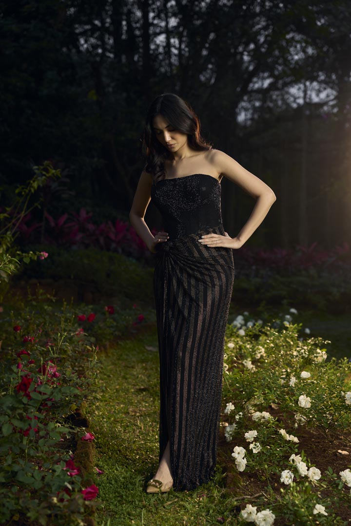 Shyamal Sona Crystal Gown