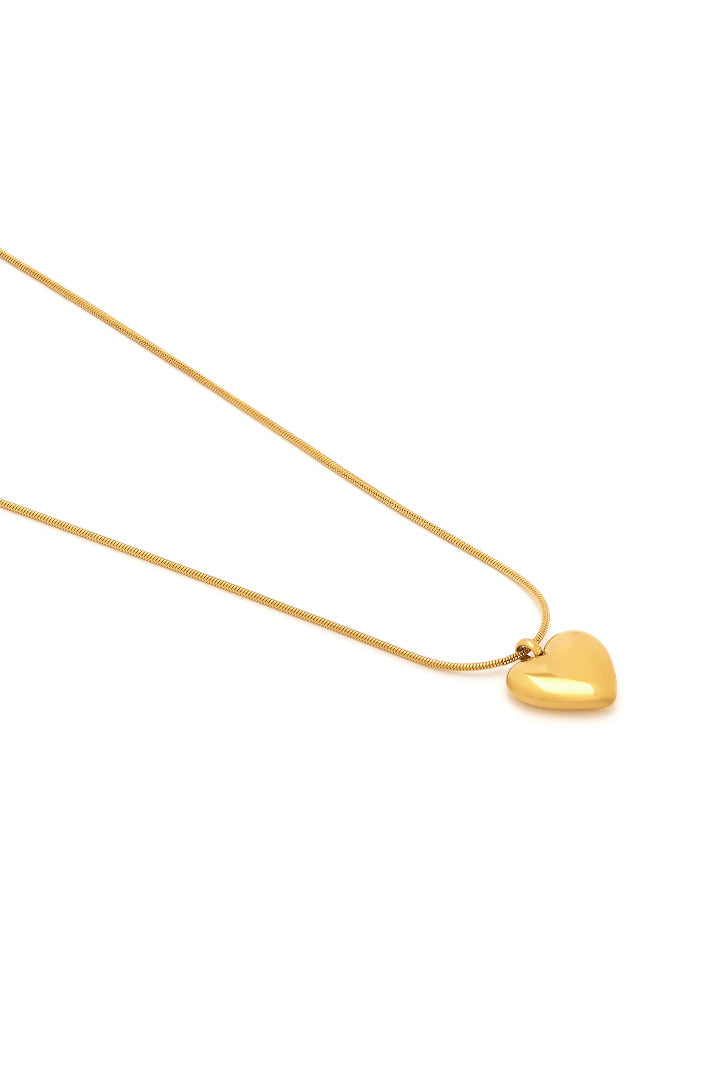 Heart Charm Necklace