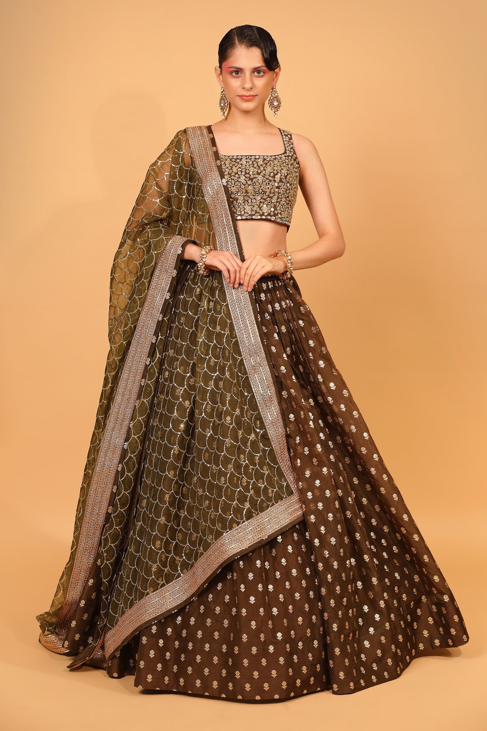 Brown Banarasi Organza Lehenga Set