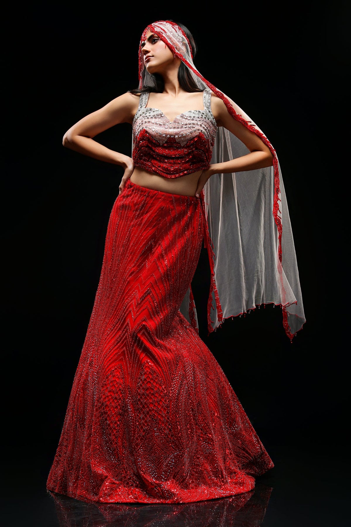 Ruhani Embellished Net Lehenga Set
