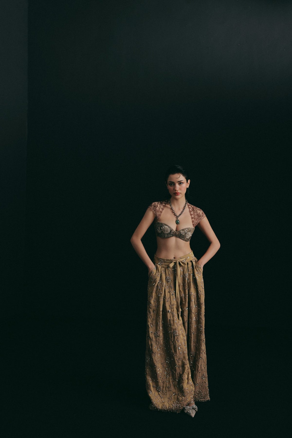 Zardosi Embroidery, Silk & Tulle, Pant Set, Crop Silhouette