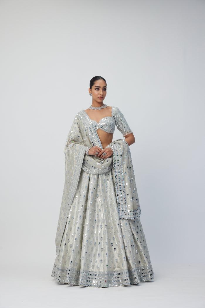 Silver Shimmer Organza  Lehenga Set