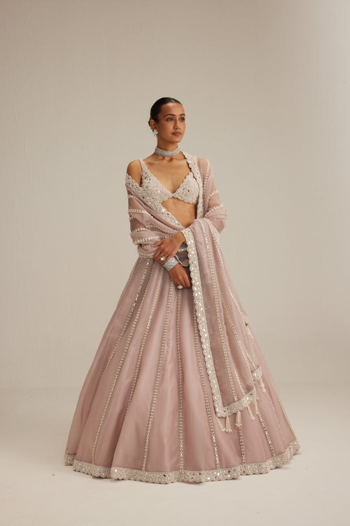 Ash Pink Pearl Mirror linear Lehenga with V neck Blouse