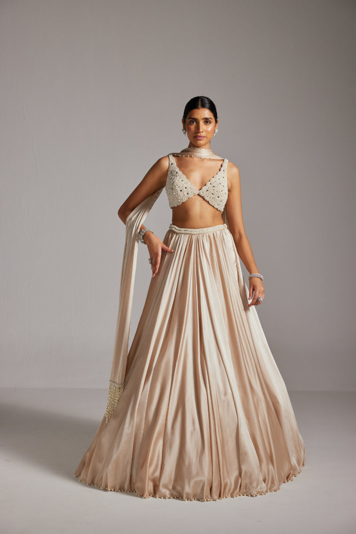 Light Beige V Neck Satin skirt Set