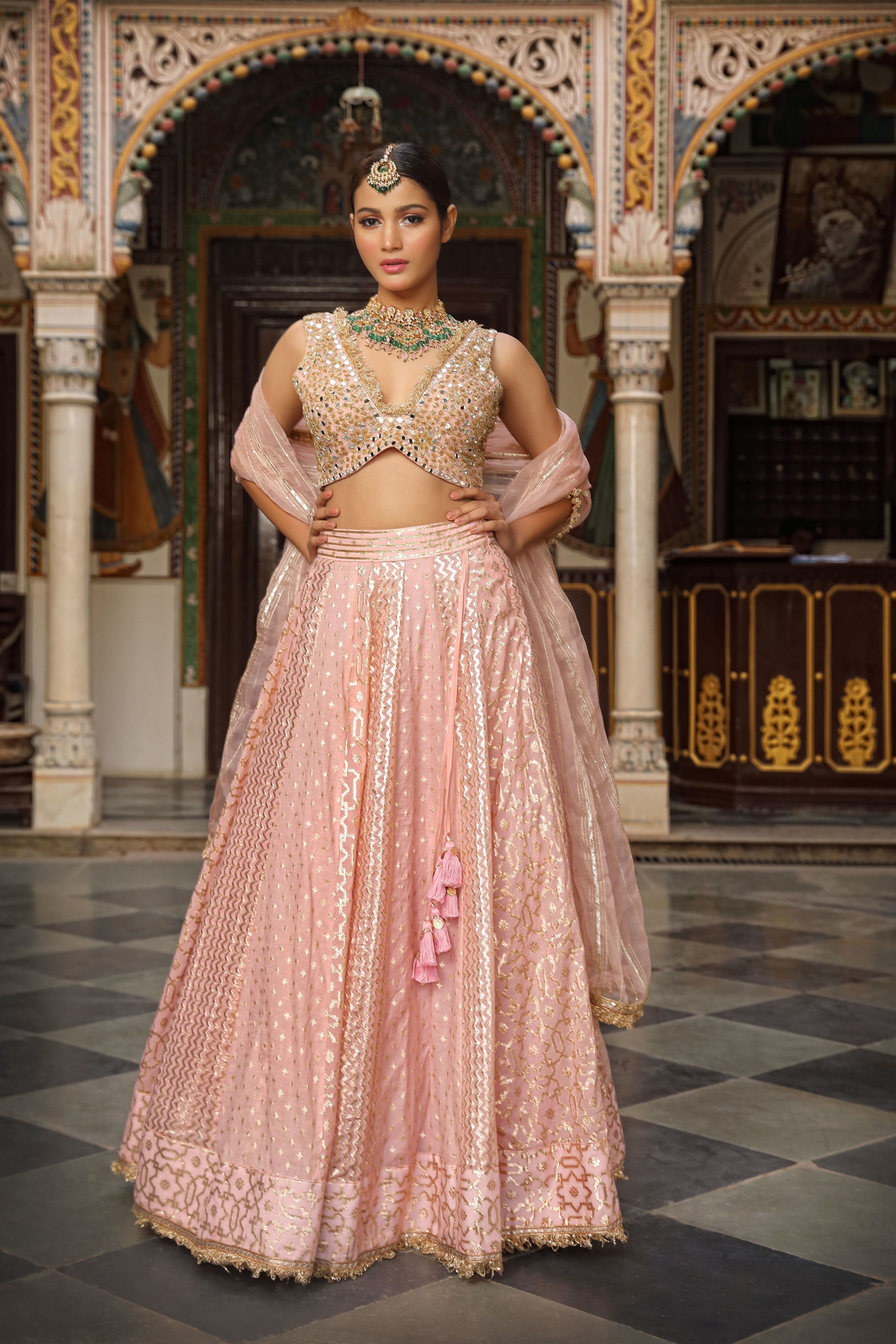 Pink Net Woven Pattern Flared Lehenga Set