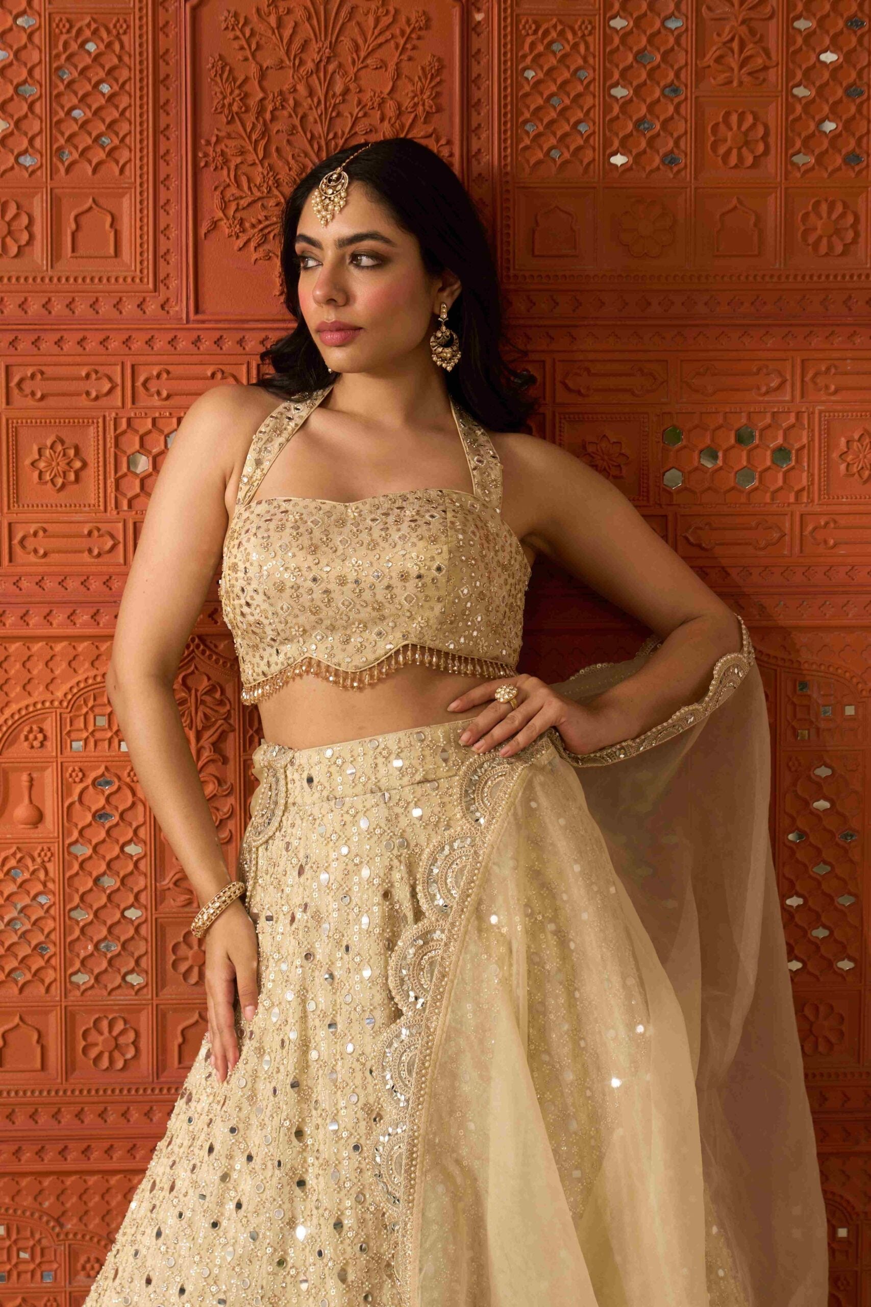 Roshni Lehenga Set
