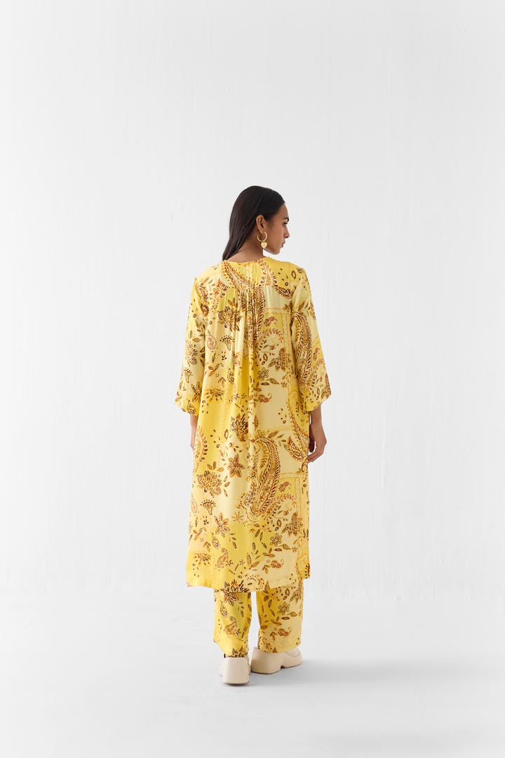 Ambi Printed Vegan Silk Kurta & Pants Set - Jaipur Heritage Co-ord