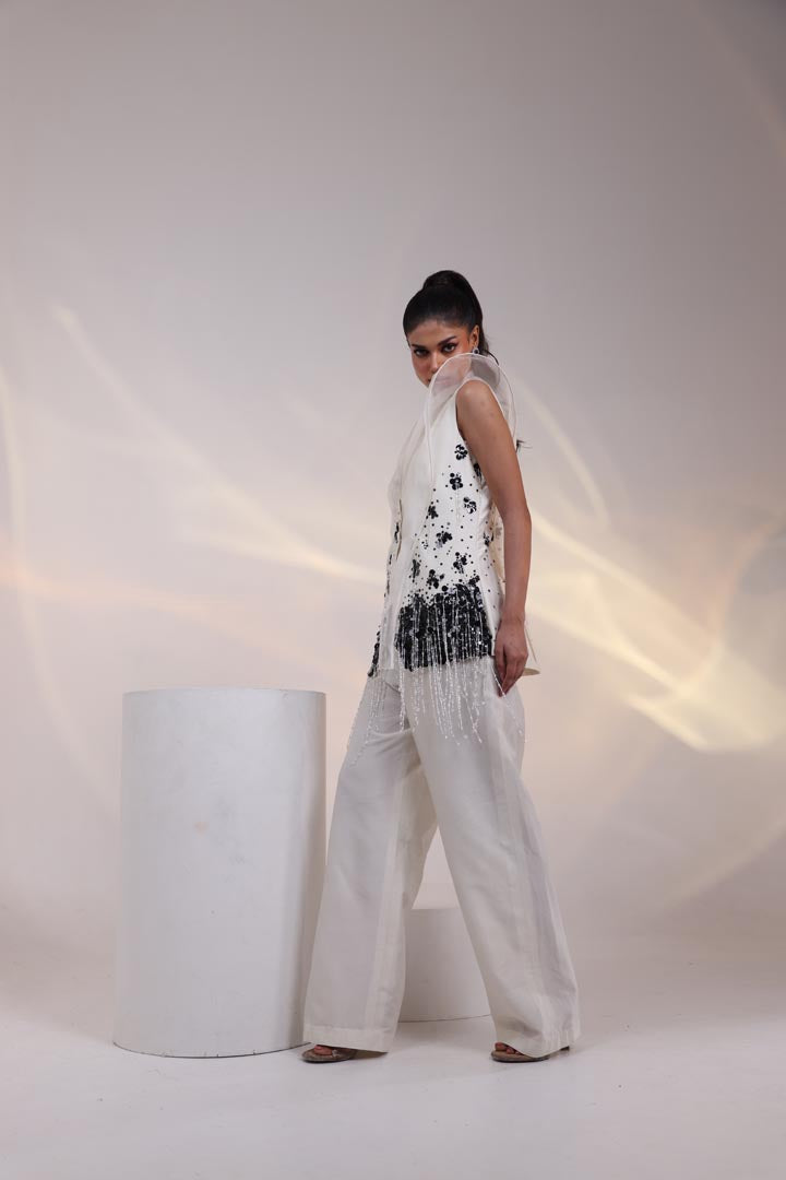 Sequence forest  Co-ord Set AAD629