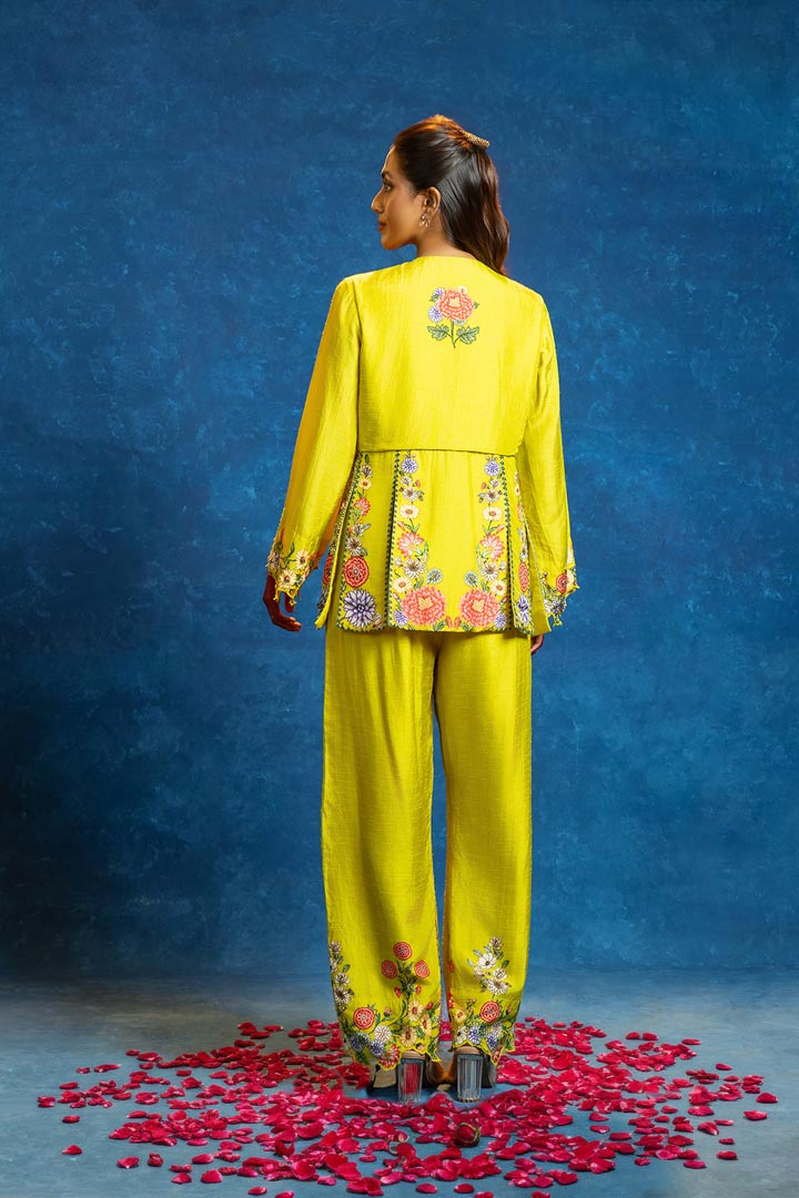 Baghira embellished panelled pant setSP4942