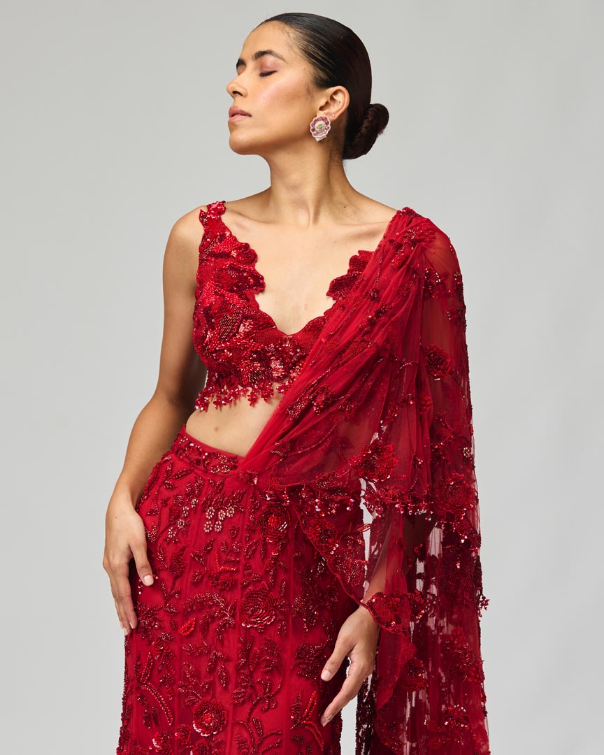 Red Embroidered Mono Net Saree Set for Wedding & Evening Wear