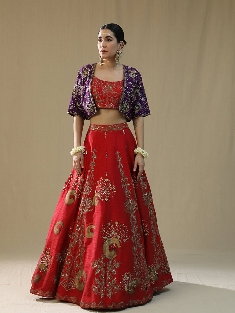 Red Brushstroke lehnga set