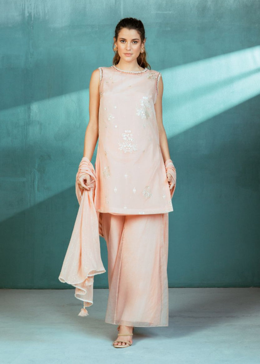 Salmon Organza Foil Printed Kurta Pallazo Set