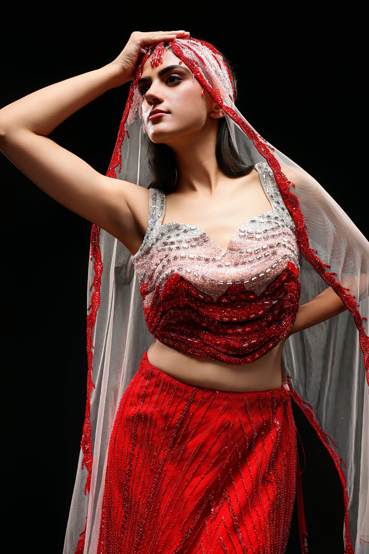 Ruhani Embellished Net Lehenga Set