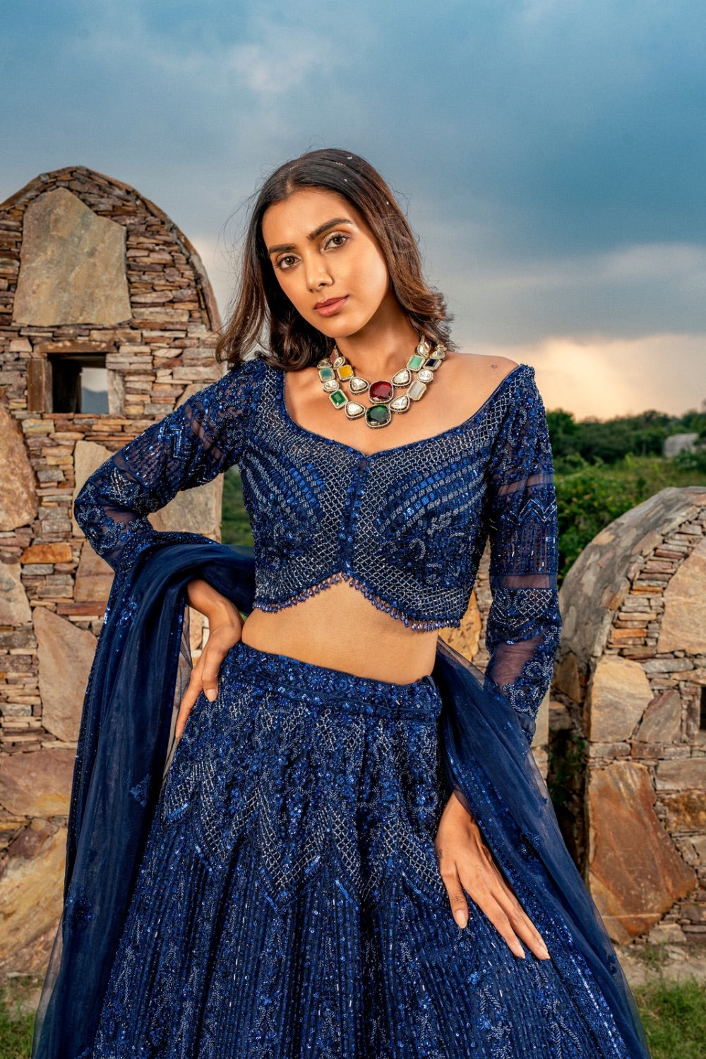 Dark blue net lehenga choli with hand cut dana and sequins work