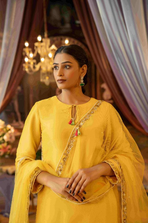 Yellow Aari Embroidery Suit Set - image 2