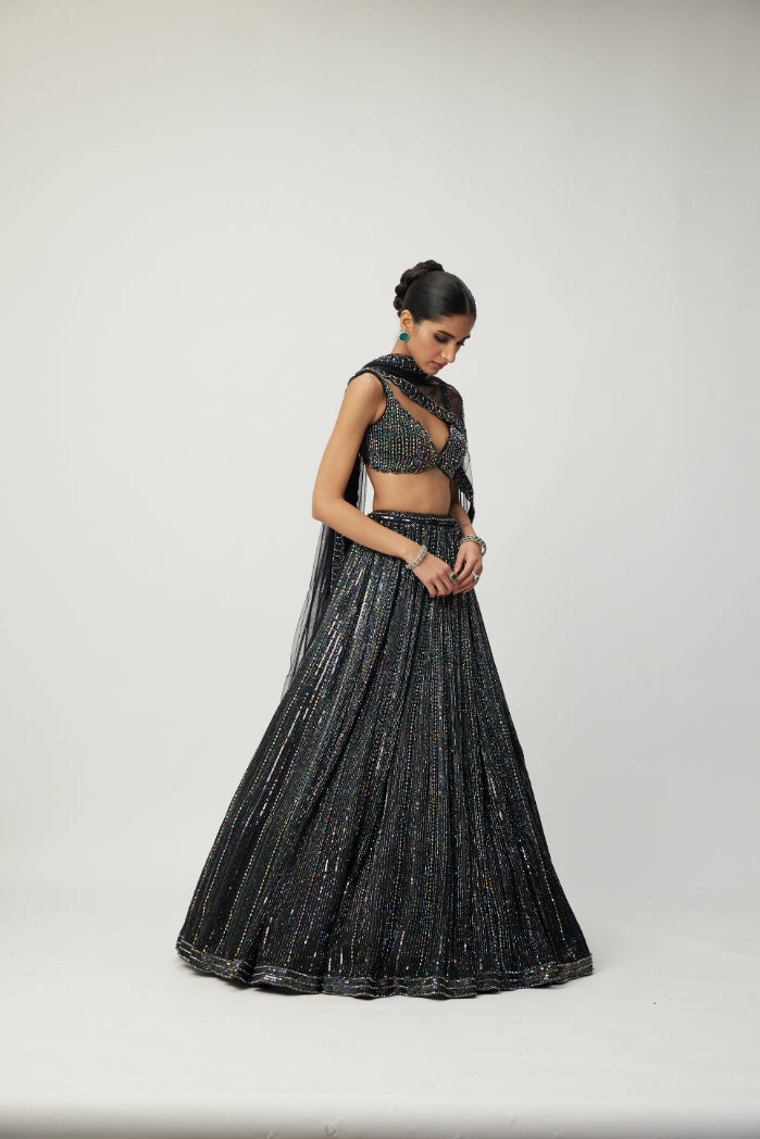 Black crystal Linear Embroidered Lehenga Set
