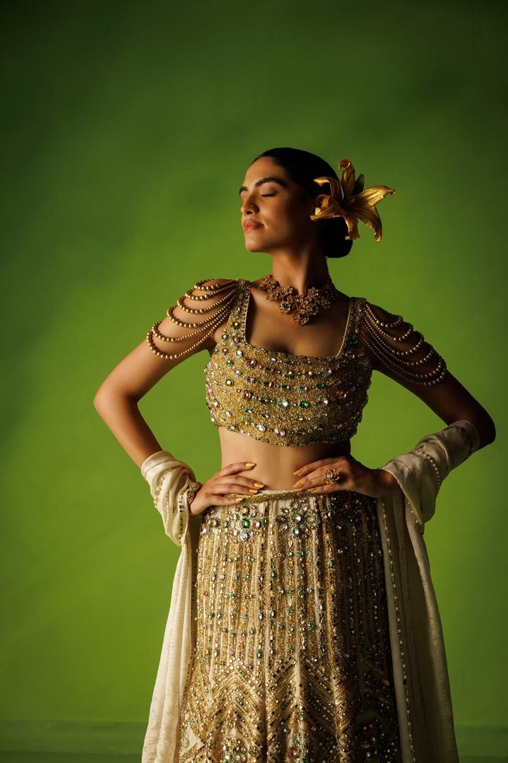 Tissue silk stone embellished fishtail lehenga set
