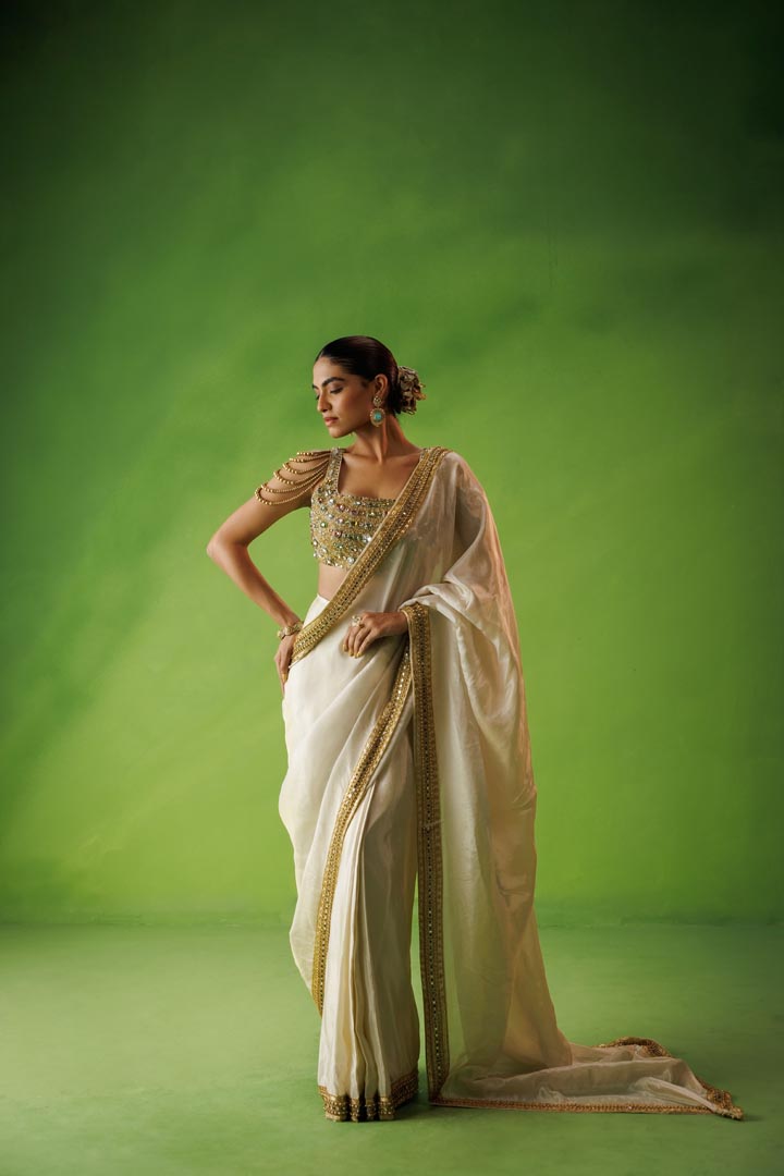Beige tissue stone embellished saree set