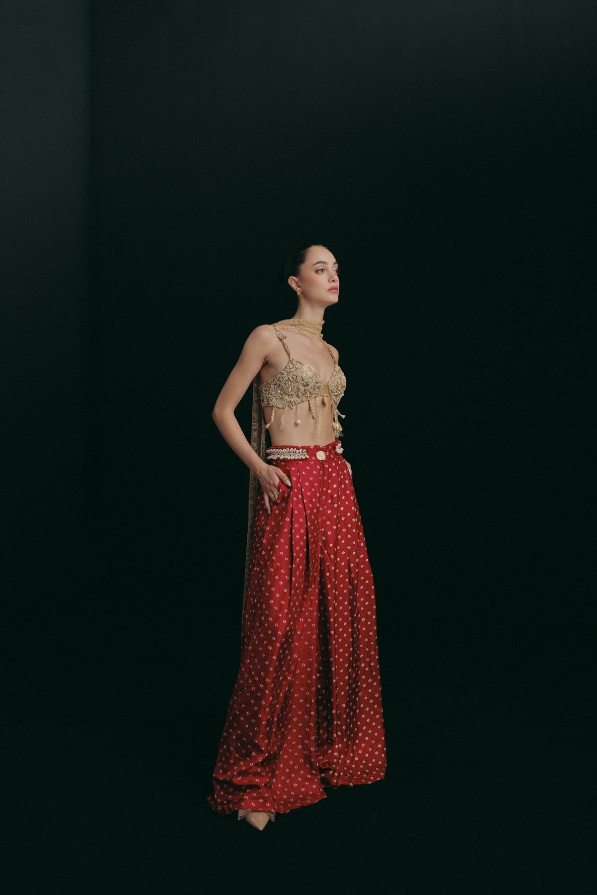 Zardosi Cutwork Embroidery, Silk & Handwoven Bandhini Silk, Pant Set, Blouse Silhouette