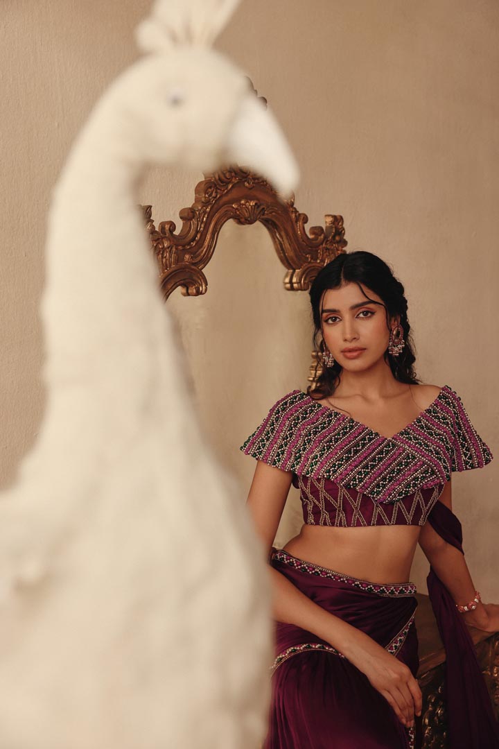 Wine Hand Embroidery Saree with Drape Skirt