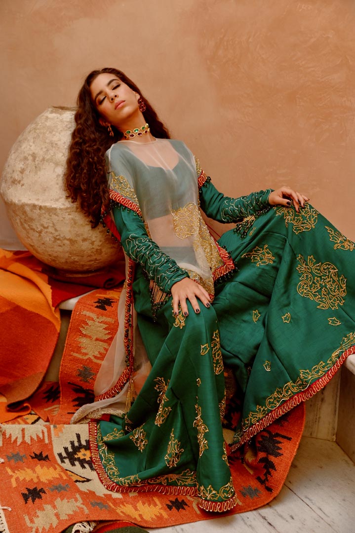 Image of Fawn sheer sac cape with churidar full sleeve blouse and sharara