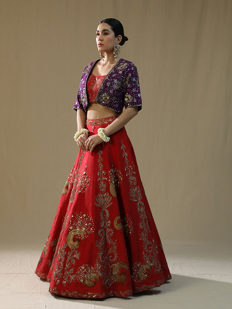 Red Brushstroke lehnga set
