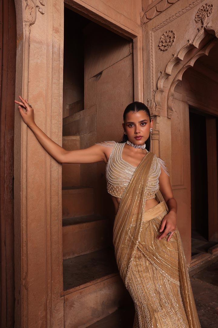 Golden fish draped saree