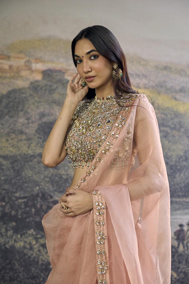 Padmika Saree Set