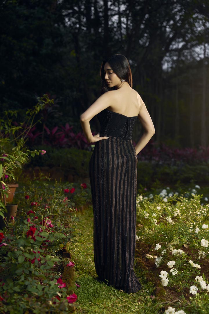 Shyamal Sona Crystal Gown
