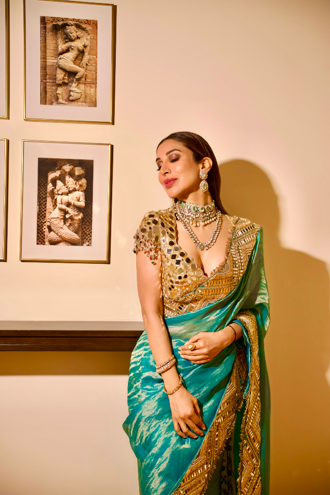 Sophie Choudry in Neelima Saree Set