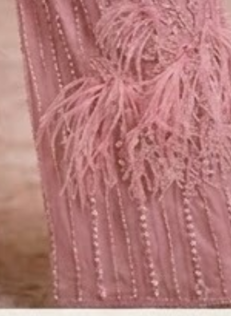 embroidered and feather Sharara set