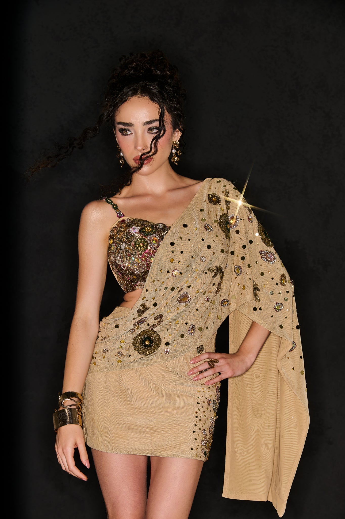 The Bare Saree