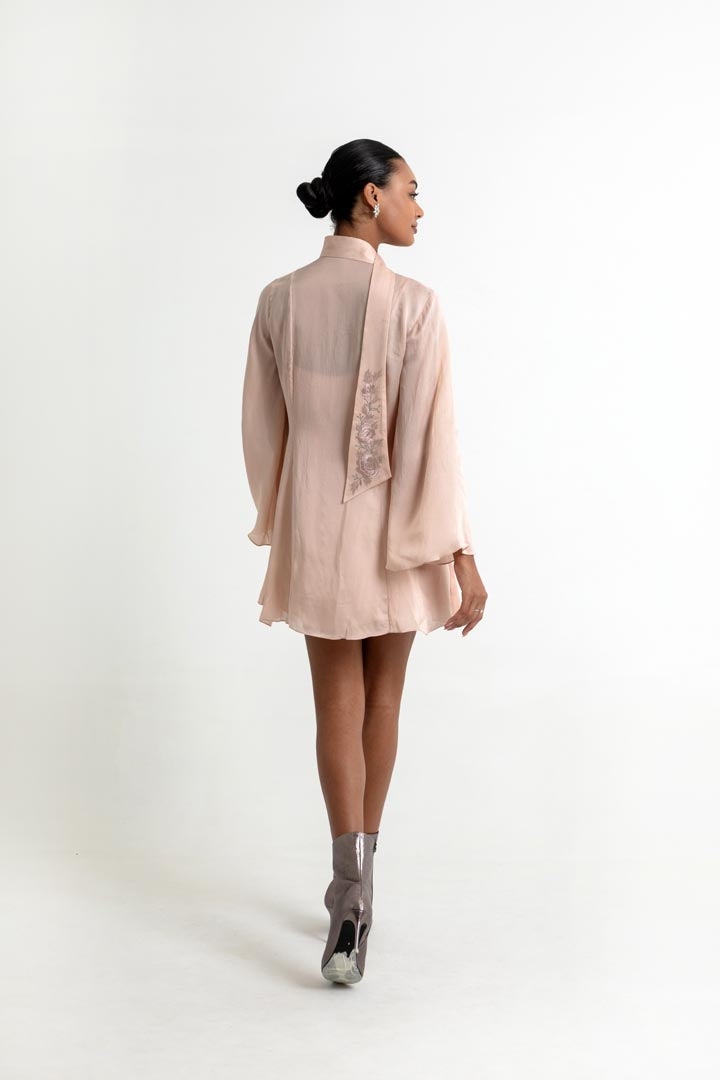 Aubrielle Dress in Peach Dust