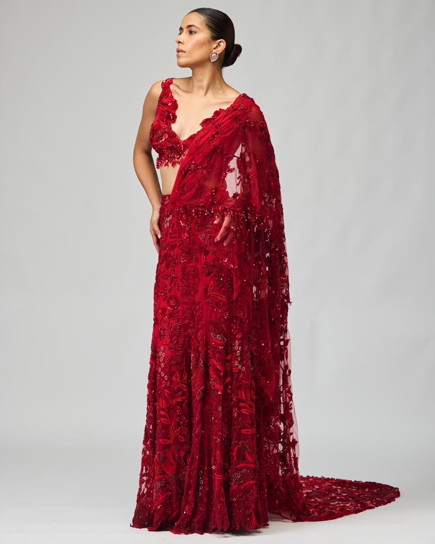 Red Embroidered Mono Net Saree Set for Wedding & Evening Wear