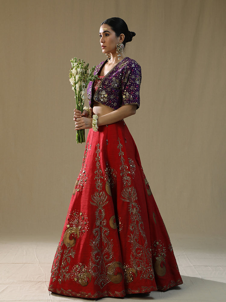 Red Brushstroke lehnga set
