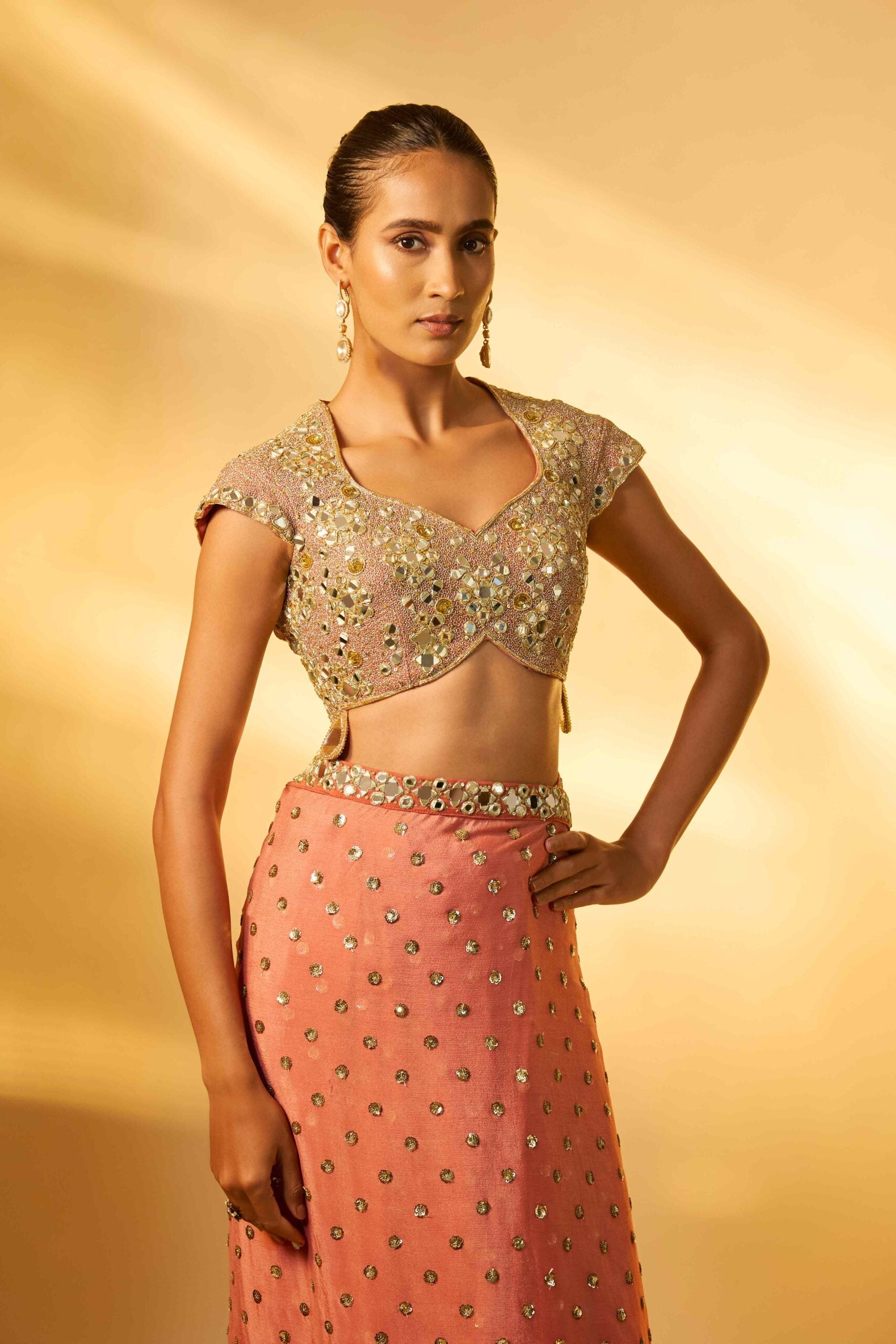 CINNAMON ROSE SEQUINS AND MIRROR EMBROIDERED SAREE SET
