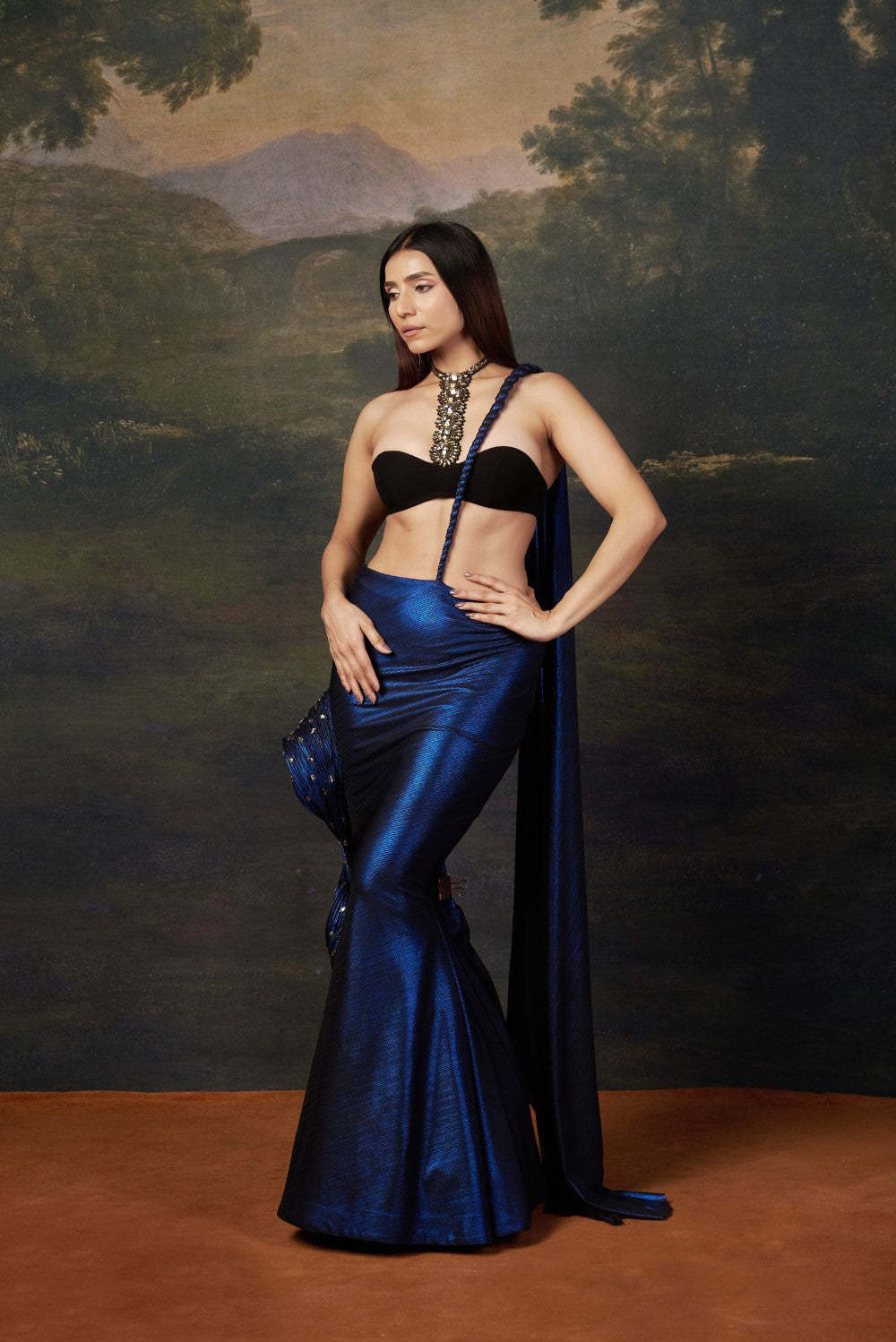 Embellished Saree gown with Heavy Swarovski Work