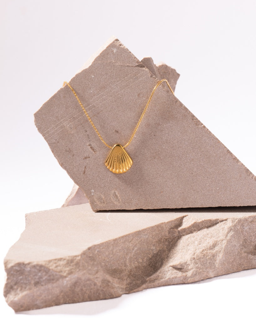 Shell necklace