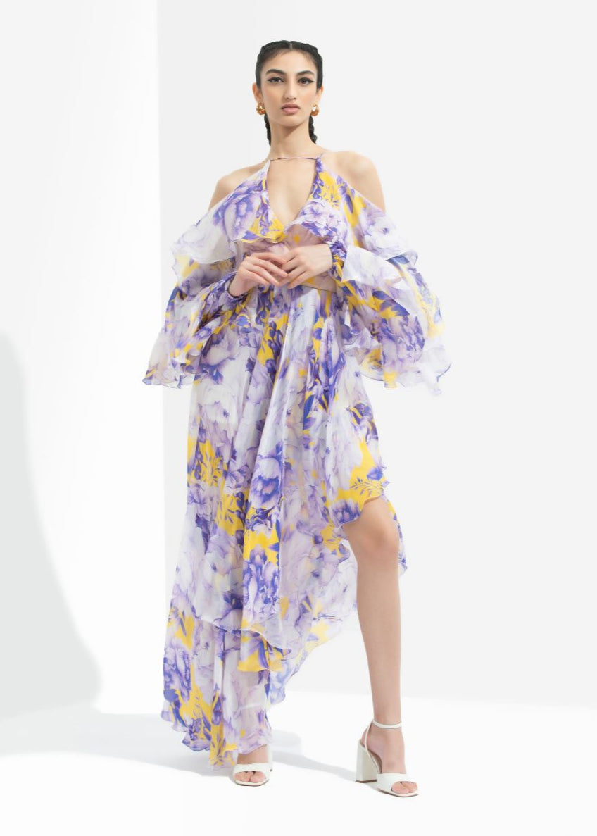 Sumire Printed Butterfly Dress