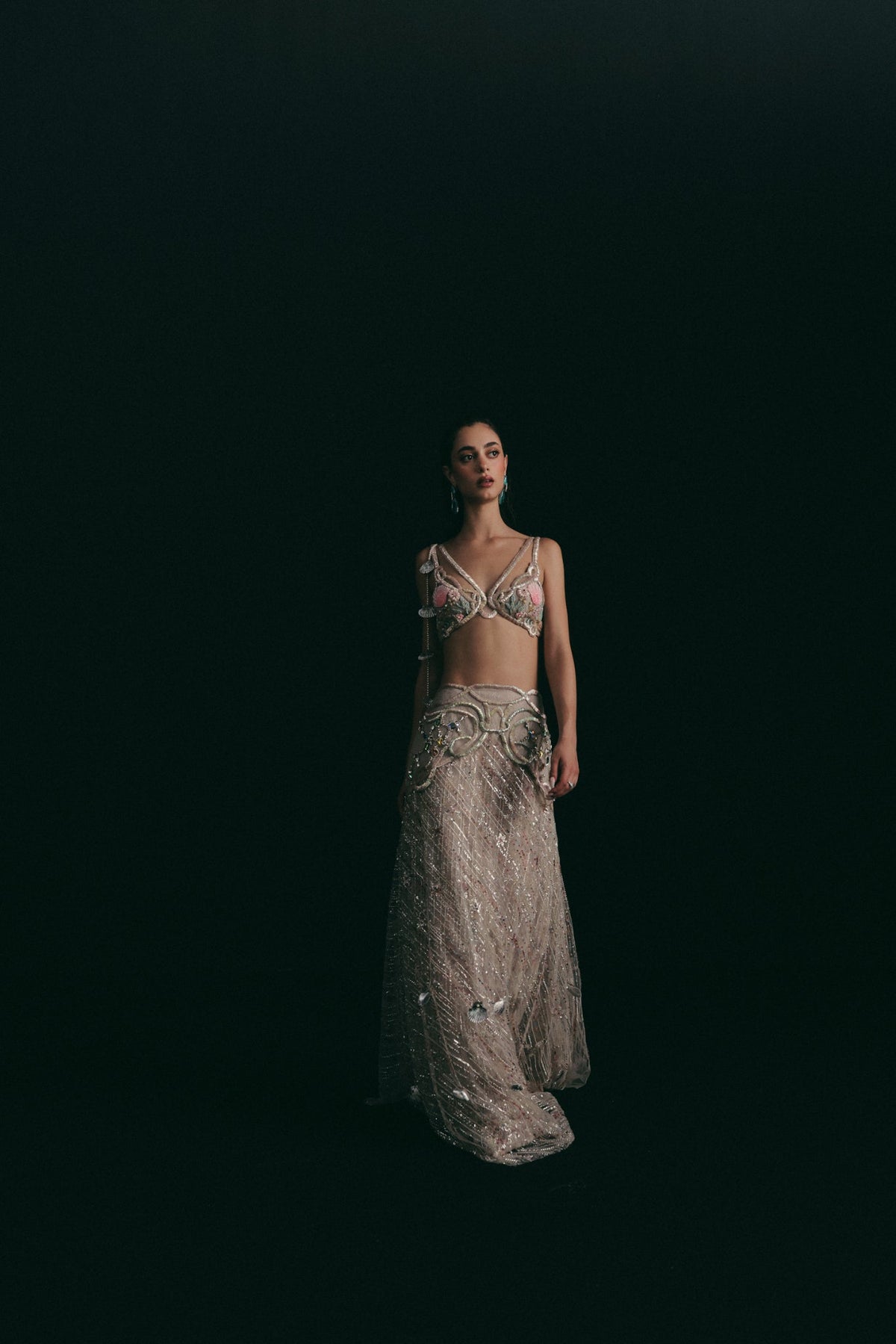 Beaded & Mukaish Embroidery, Tulle & Silk with Lace Detailing, Skirt Set, Crop Silhouette